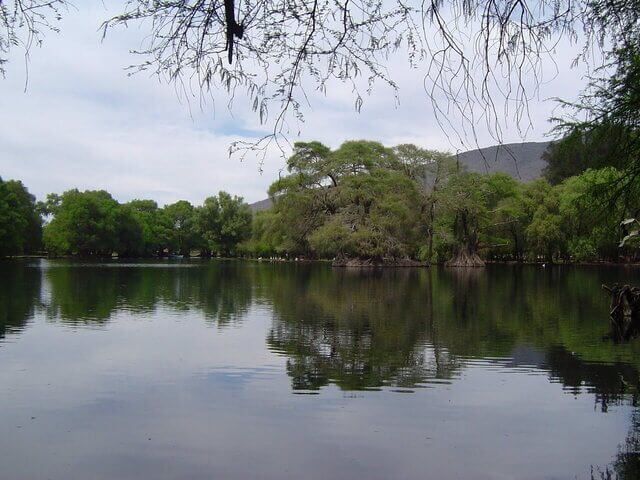 Parque Nacional Lago de Camécuaro