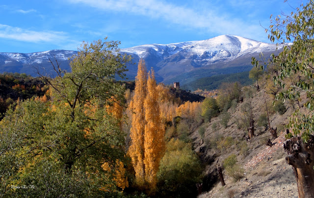 Otoño,Barranco, Jérez del Marquesado