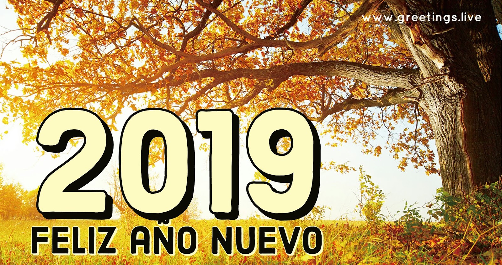 Greetings Live Free Daily Greetings Pictures Festival Gif Images 19 Happy New Year In Spanish Language