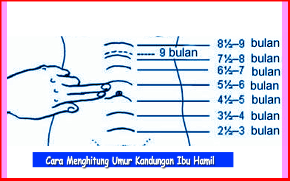 Cara Menghitung Umur Kandungan Ibu Hamil Komunitas Ibu Hamil
