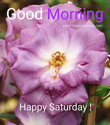 Good Morning Saturday