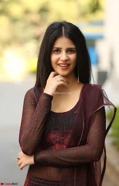 Kashish Vohra in Transparent Dre at Sapragiri LLB Success Meet ~  Exclusive 001.jpg