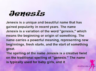 meaning of the name "Jenesis"