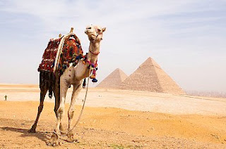 Giza Pyramids tour with All tours Egypt from Alexandria port, Shore excursions