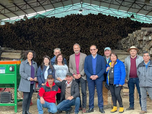 Entrega de maquinarias a beneficiarios del proyecto “Ta’ Buena Tu leña Seca” en la Provincia de Osorno