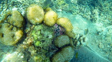 P1060925