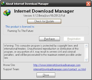 Download IDM 6.12 Beta With Patch (Mediafire) gambar