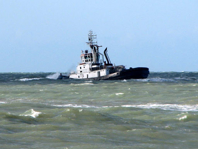 Rimorchiatore Piero Neri, IMO 9351713, Livorno