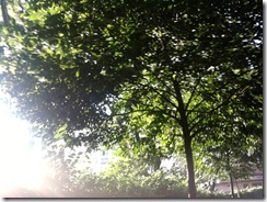 Photo0685