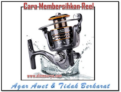 Cara Membersihkan Reel Pancing Agar Awet Dan Tidak Terkena Karat