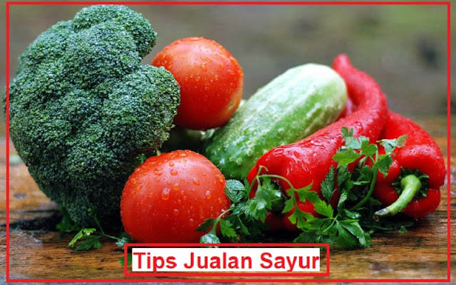 tips dan keuntungan jualan sayur