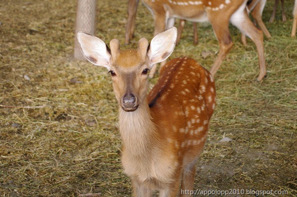 2010-08-29__18_19_2600__Paul