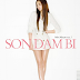 [Mini Album] Son Dam Bi - Mini Album Vol.1 [FLAC]