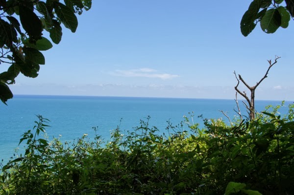 DSC06021