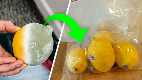 Simple Trick For How To Keep Lemons Fresh For a Whole Month: how to store lemons for long time