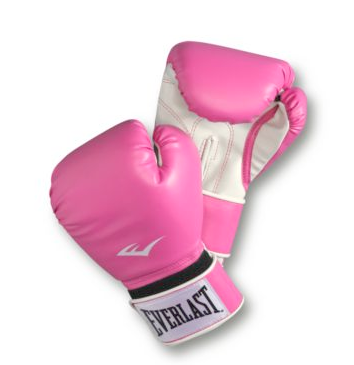 Everlast Boxing Gloves