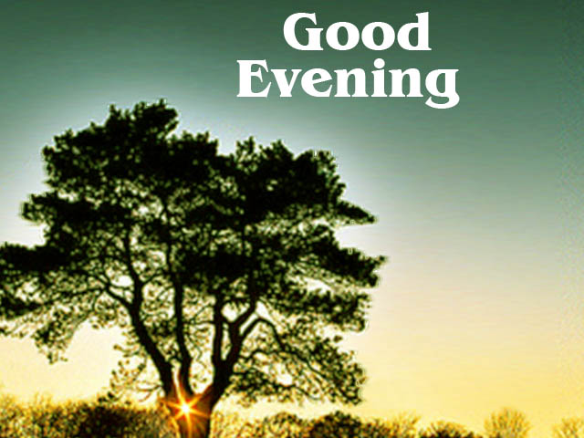 Good Evening SMS, Quotes And Facebook Status ~ Hindi Sms, Good Morning