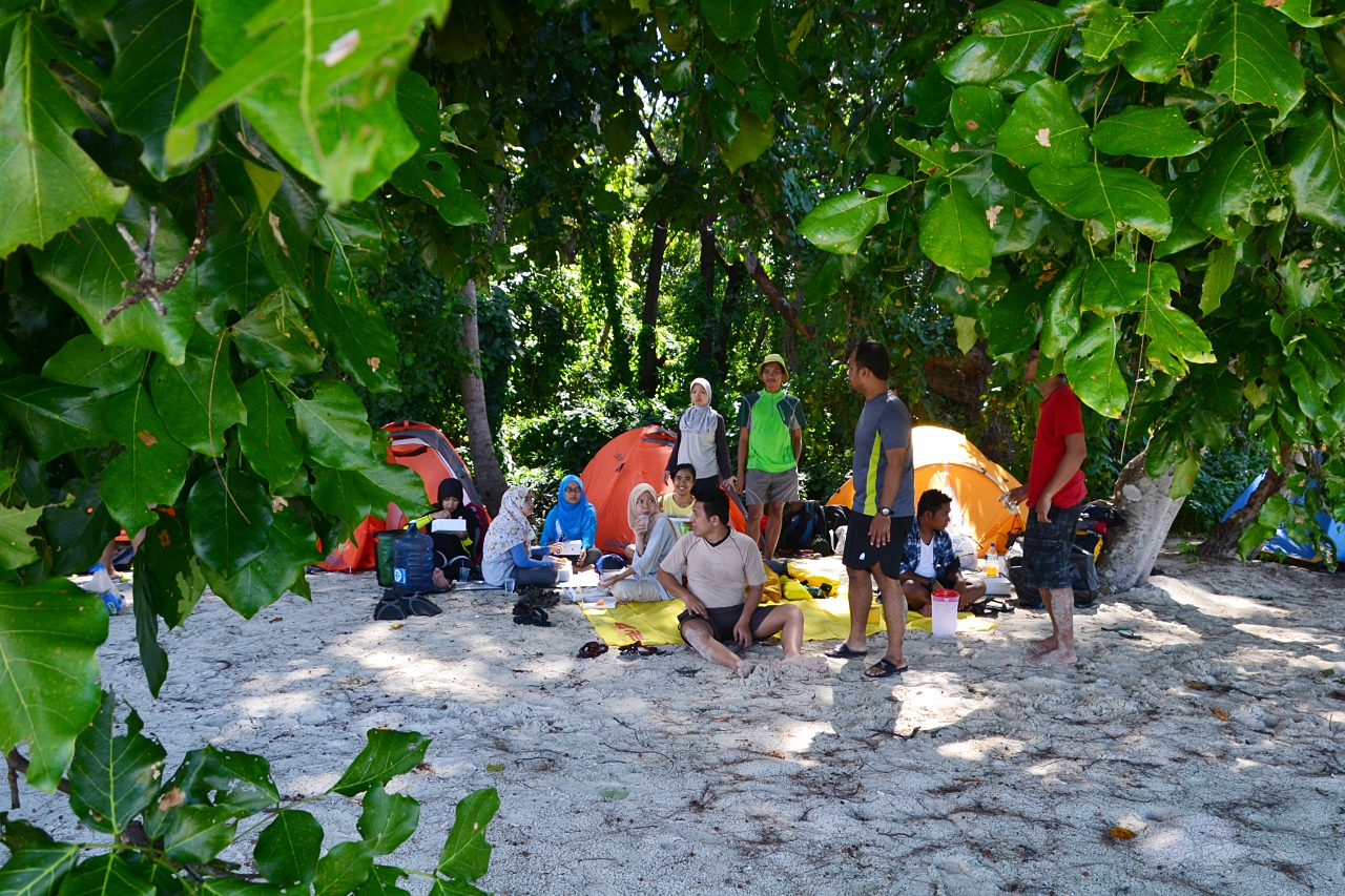  Camping Ceria Cerita Bulu Babi Pulau Sepa n journal