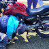  Detuvieron a cuatro sujetos y secuestraron motocicletas 