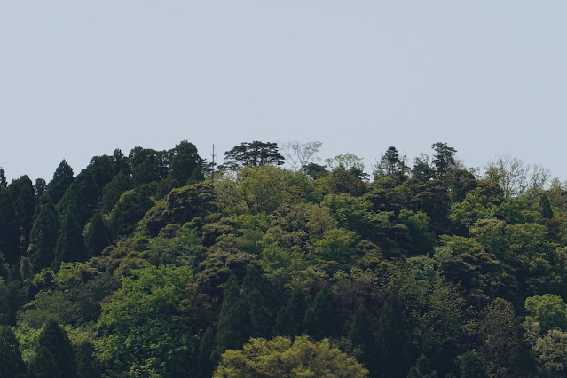 鳥取県東伯郡湯梨浜町引地　中国庭園燕趙園からの眺めが綺麗です