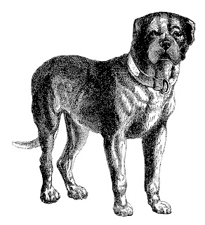 Digital Dog Download Vintage Clip Art