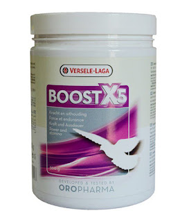 تعرف على فوائد X5 Boost لحمام السباق