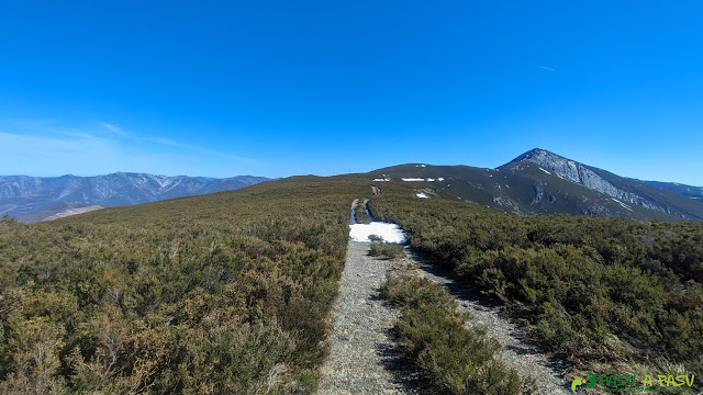 Pista hacia Peña Rogueira