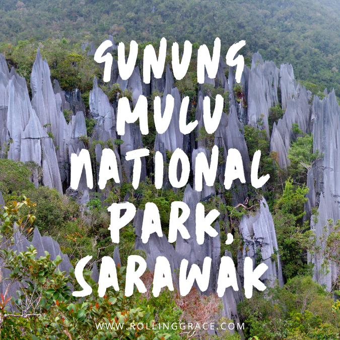 Gunung Mulu National Park Sarawak