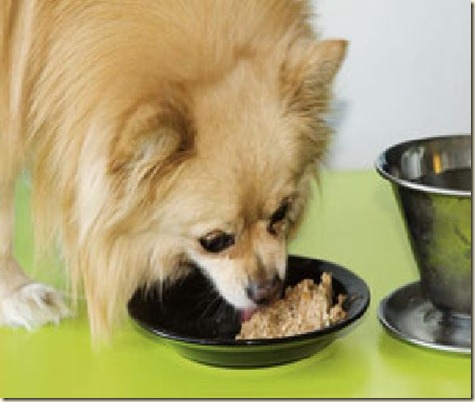 Alimentos premium para perros5