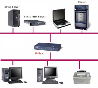 Bridge Network5