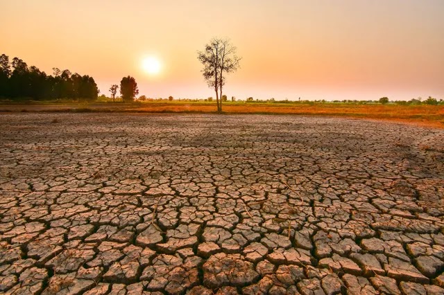 Pengertian El Nino dan dampaknya bagi manusia dan bumi