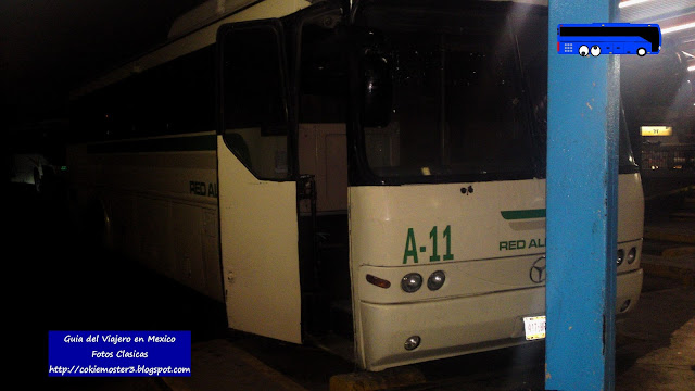 Autobuses Red Allende