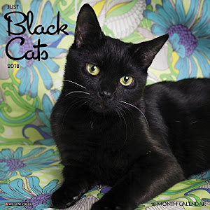 Just Black Cats 2018 Calendar