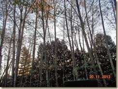 DSCN1550