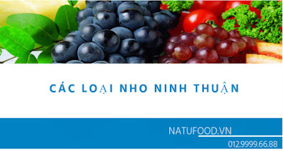 Các loại nho Ninh Thuận