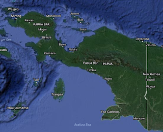 pulau terbesar pertama adalah papua