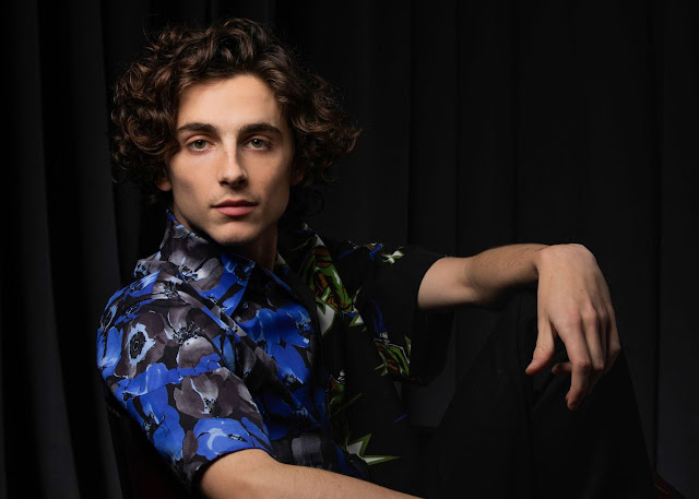 Actor Timothee Chalamet Hollywood