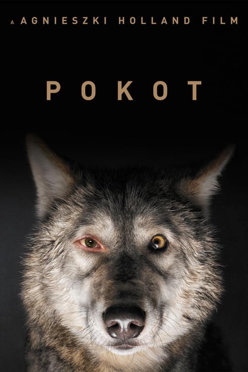 Download Spoor 2017 Full Movie With English Subtitles