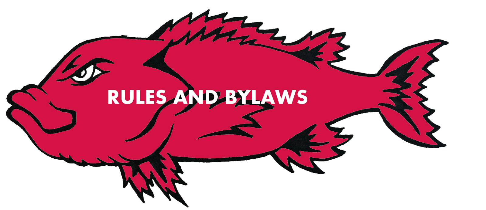 Rules/Bylaws