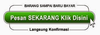 Obat Herbal Amenore