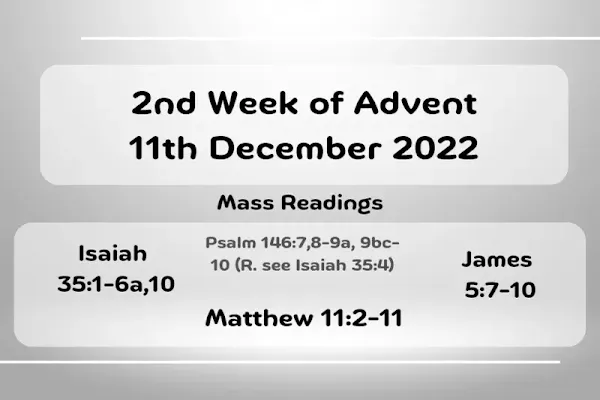 Catholic Daily Mass Readings and Reflections December 11, 2022
