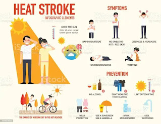 What is Heatstroke