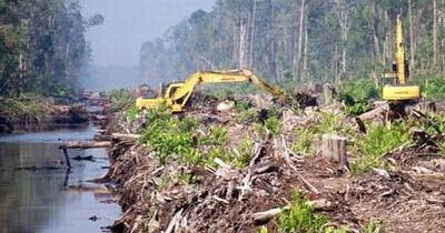 Contoh Syair Hutan - Sportschuhe Herren Store