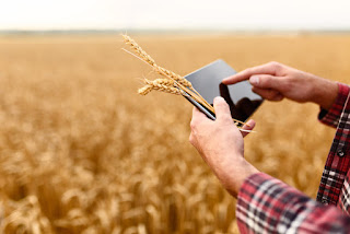 Blockchain and it's application in Agriculture