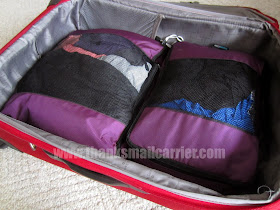 TravelWise Packing Cubes review