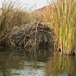 View album