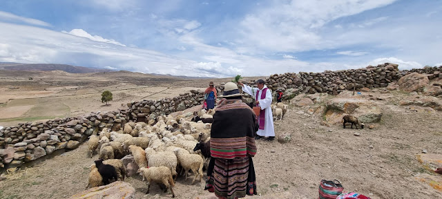 Wir begleiten unsere Gemeinden in ihren Gebeten, damit es auf ihrem Land eine gute Produktion gibt und dass der Gott des Lebens ihre Tiere vor allen Gefahren schützt. Macha Potosi – Bolivien