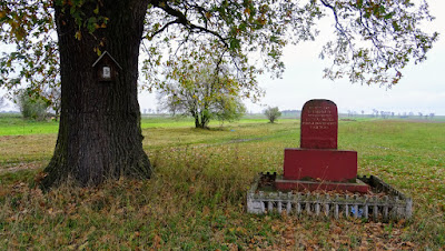 Zdjęcie: