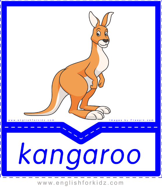 Kangaroo - printable Australian animals flashcards for English learners