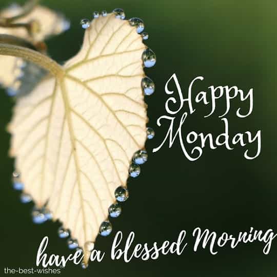 good morning have a blessed monday